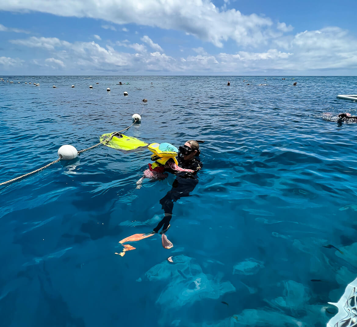 A baby on the Great Barrier Reef 