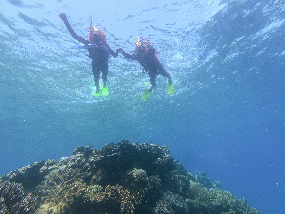 Snorkellers on the Great Barrier Reef