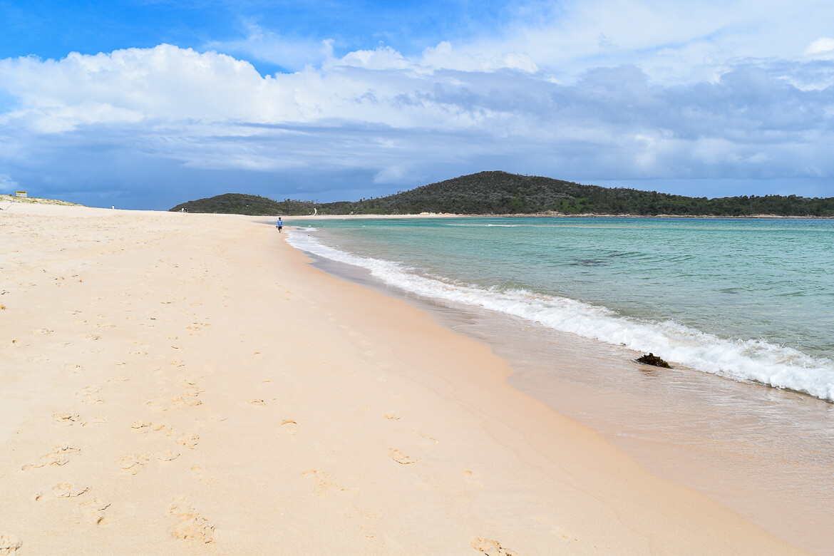 Fingal Island, Port Stephens