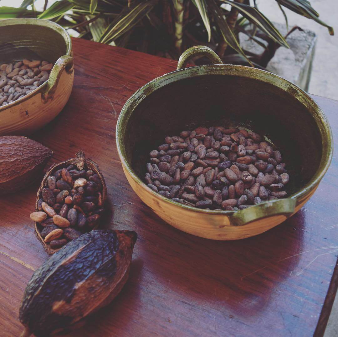 Cocoa beans in Mexico