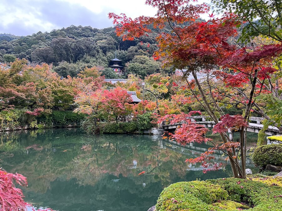Autumn leaves at a Kyoto temple