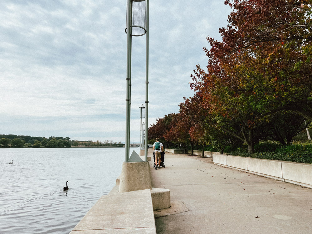 Walking around Lake Burley Griffin in Canberra 