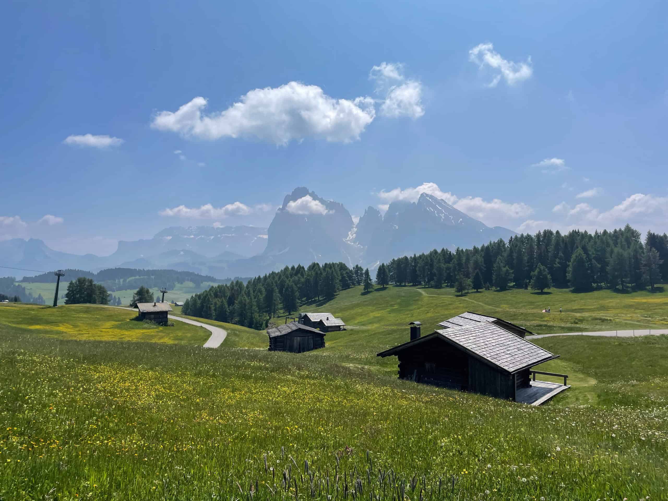Mountain huts and wildflowers in the Dolomites