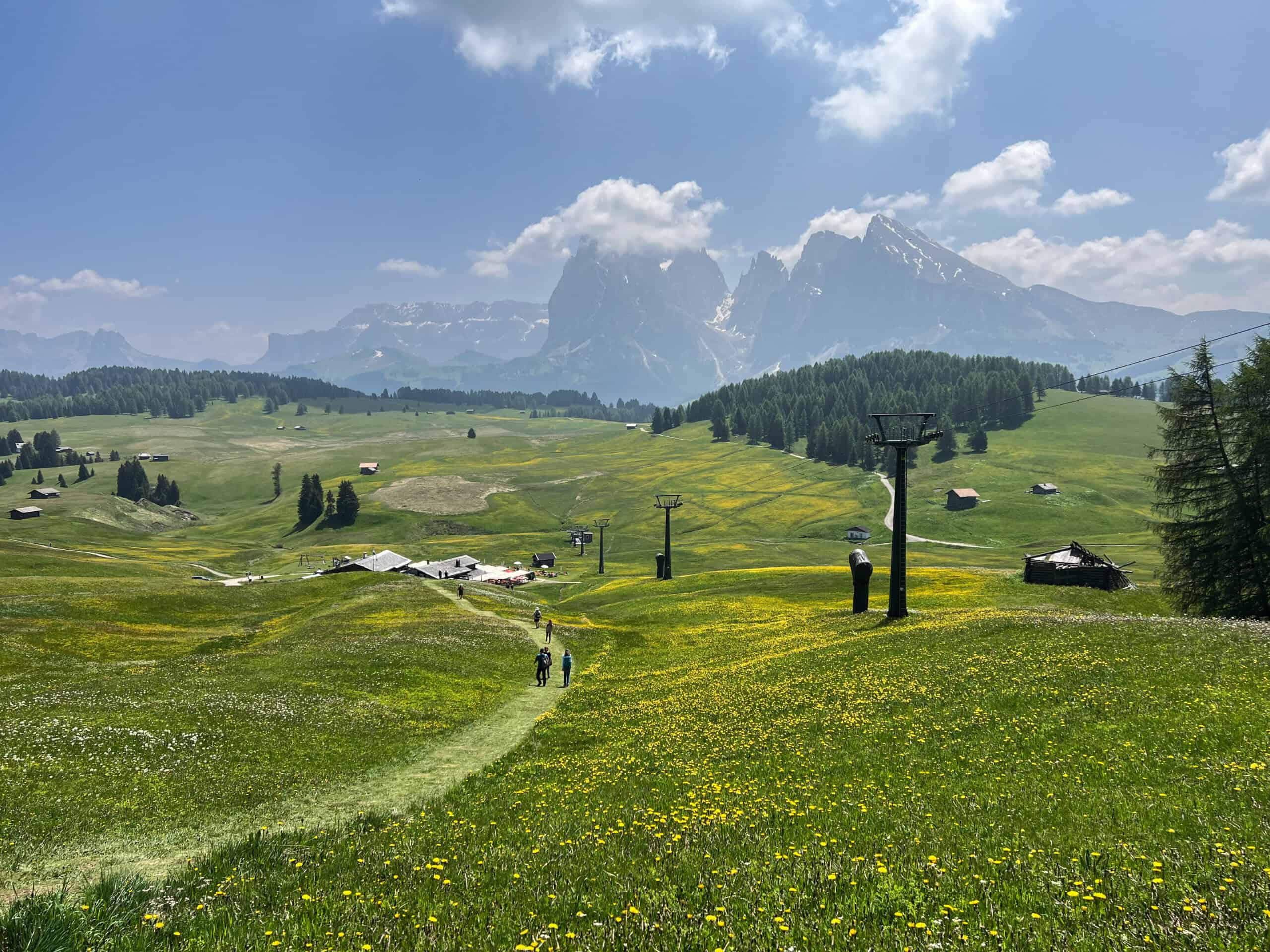 A family hikes through a vibrant alpine meadow in the Dolomites, surrounded by wildflowers and towering peaks.