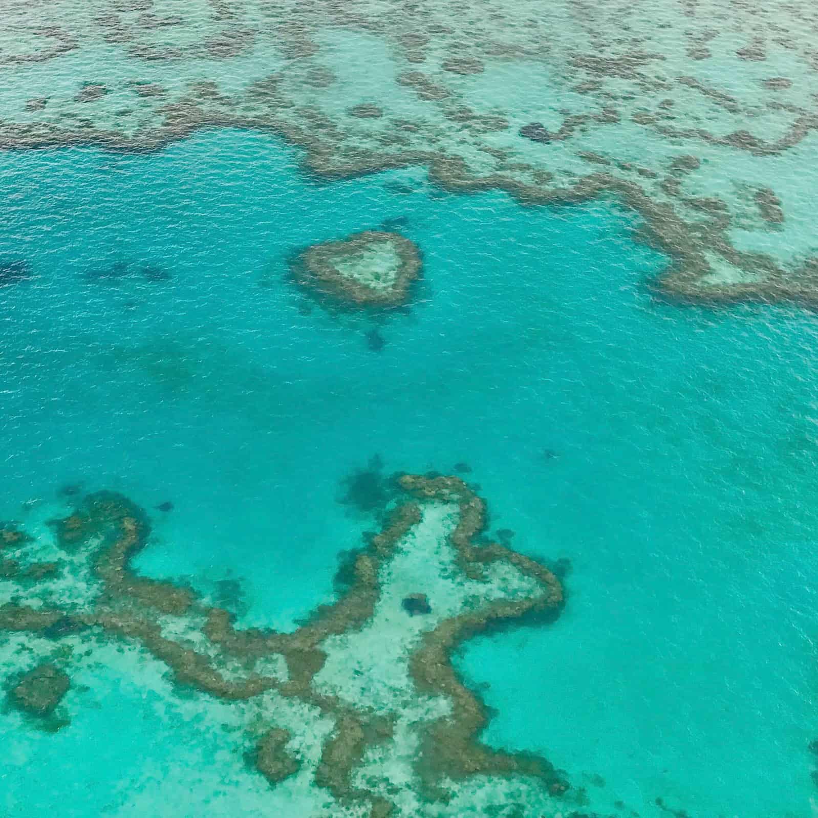 A Lovely Planet - Hayley Lewis - Queensland-1 Queensland