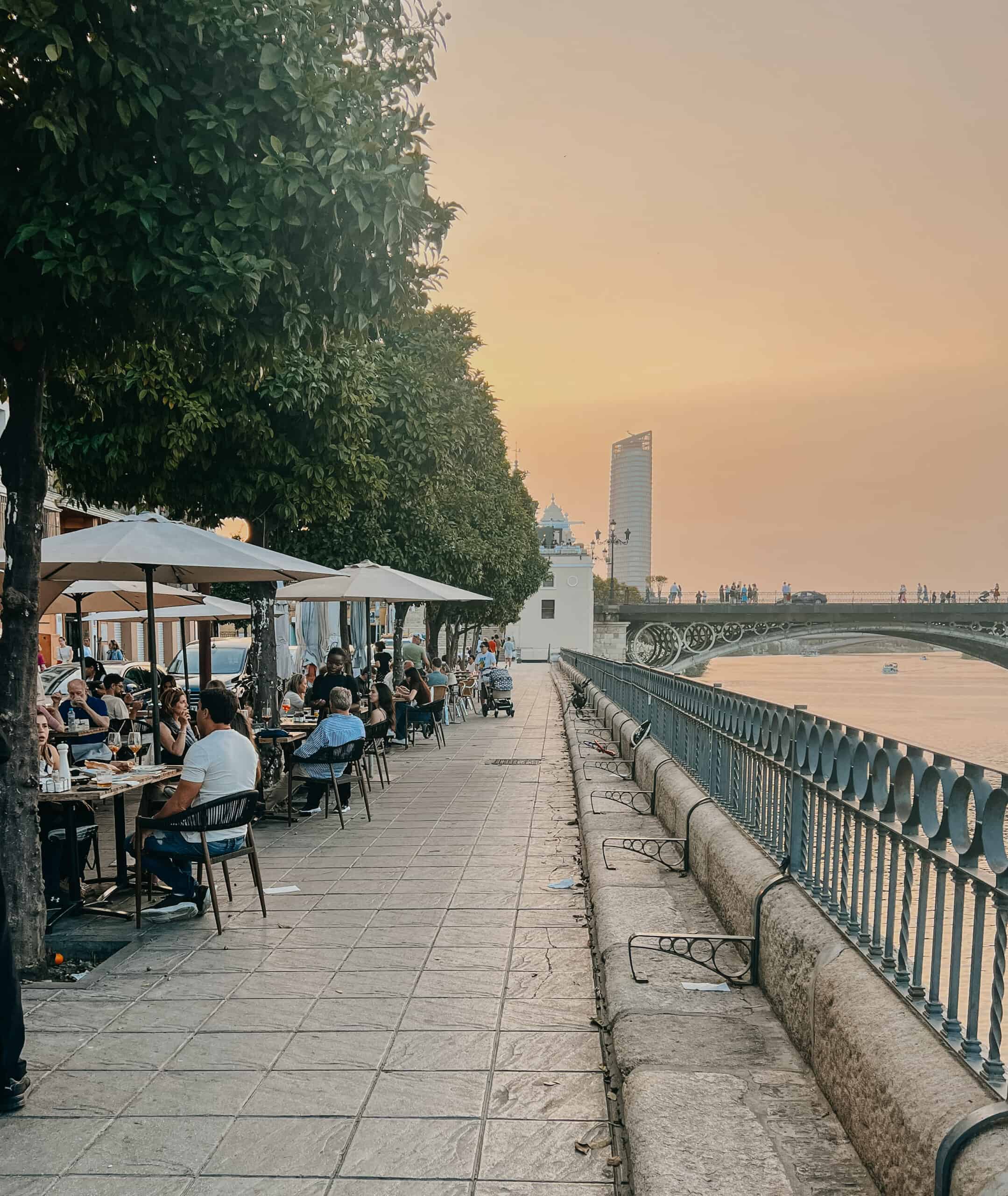 Riverside terrace dining at sunset with tables under trees beside the Guadalquivir.