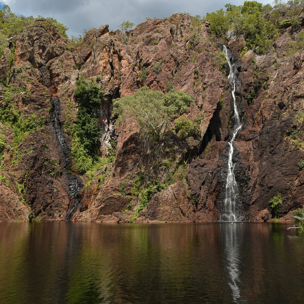 A Lovely Planet - Hayley Lewis - The NT-1 The NT