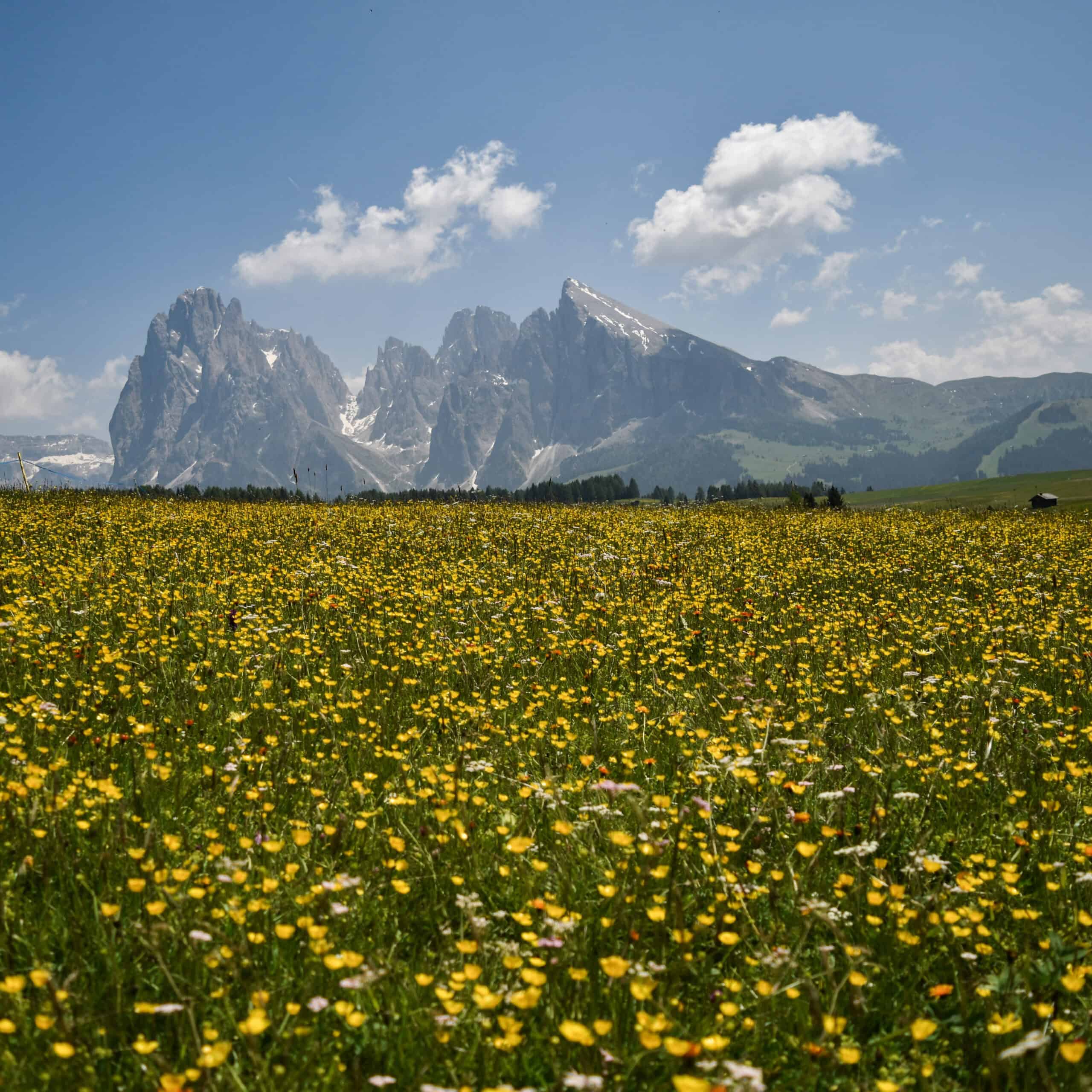 A Lovely Planet - Hayley Lewis - Trentino-Alto Adige-2