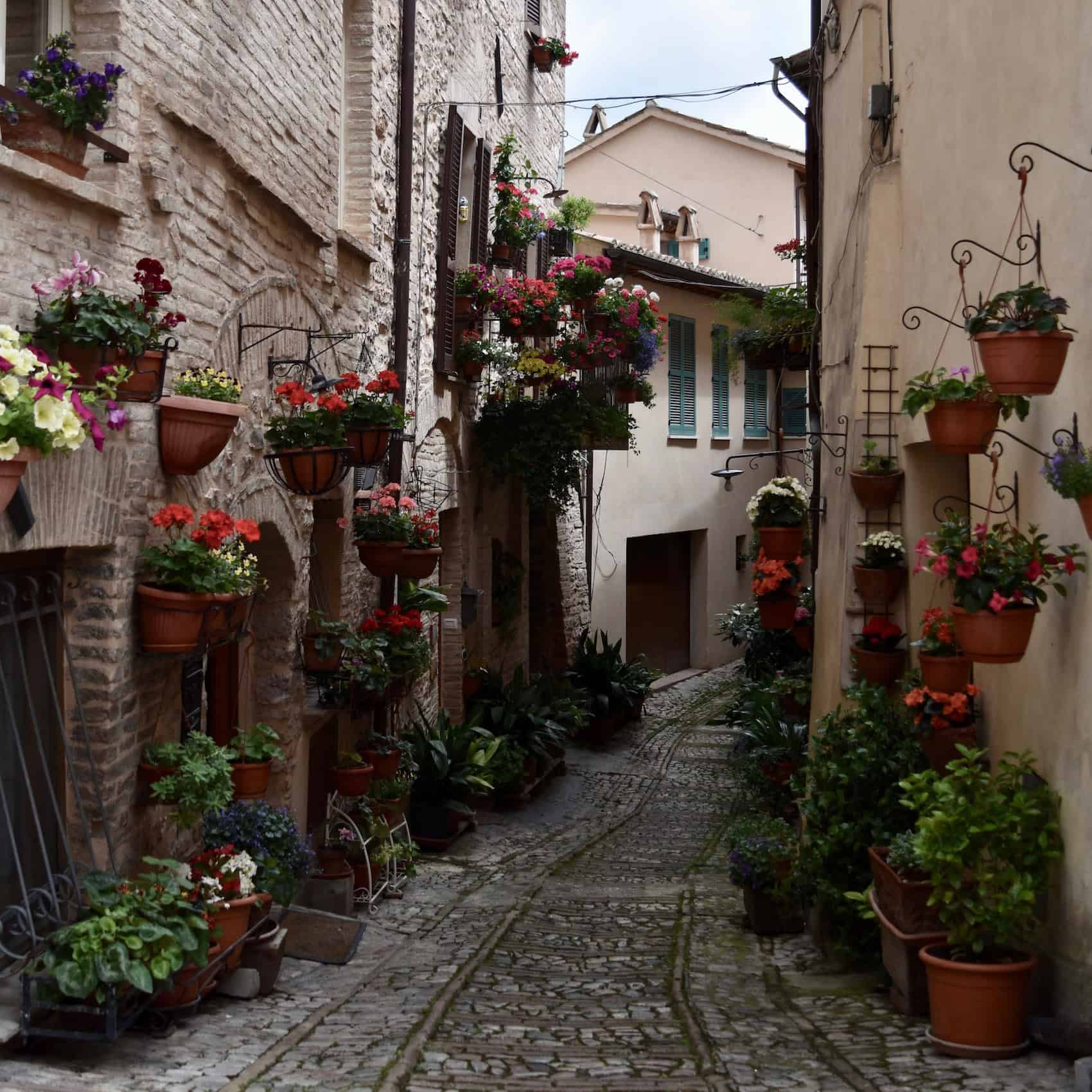 A Lovely Planet - Hayley Lewis - Umbria-1
