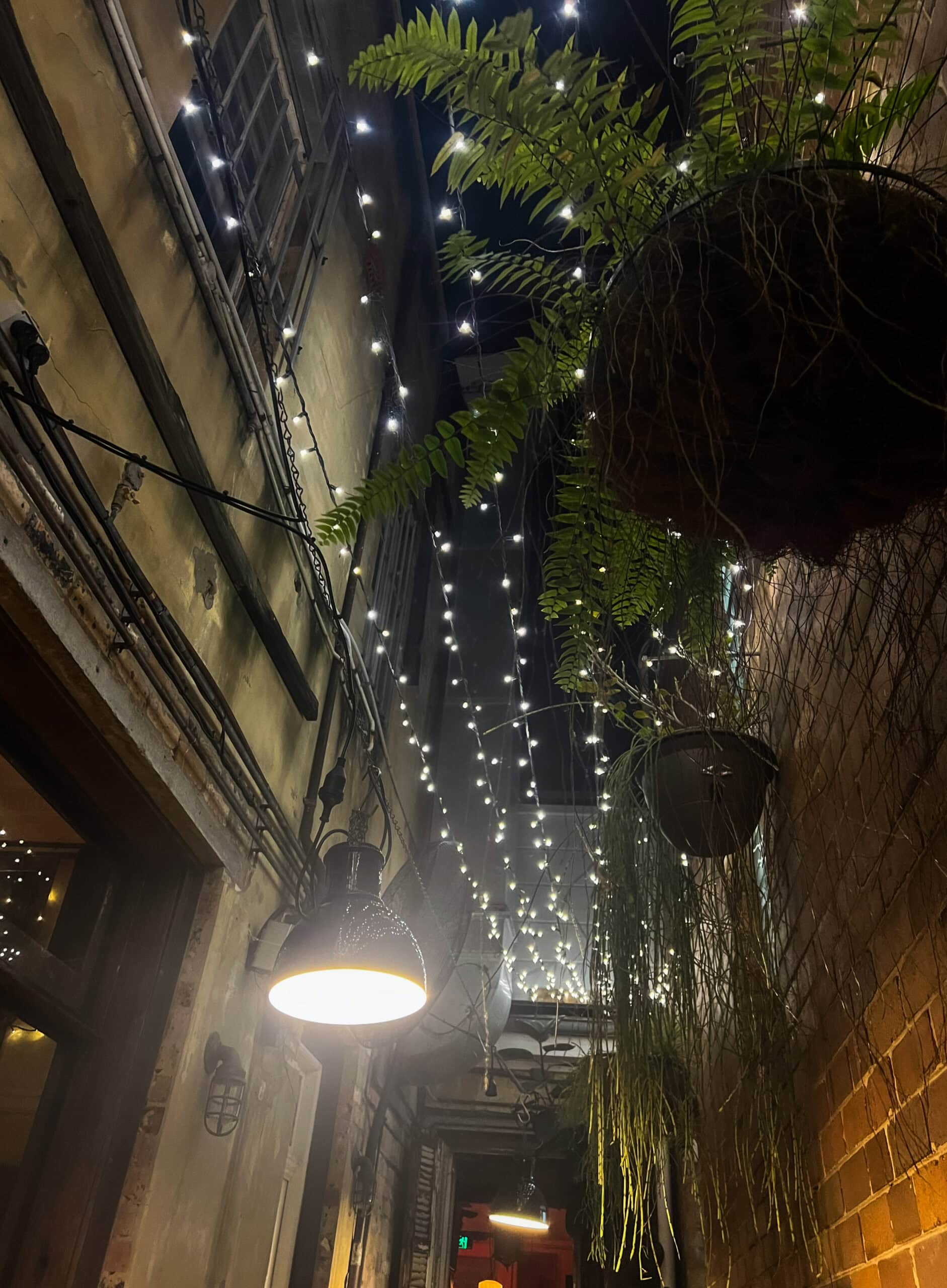 Fairy lights in a restaurant laneway