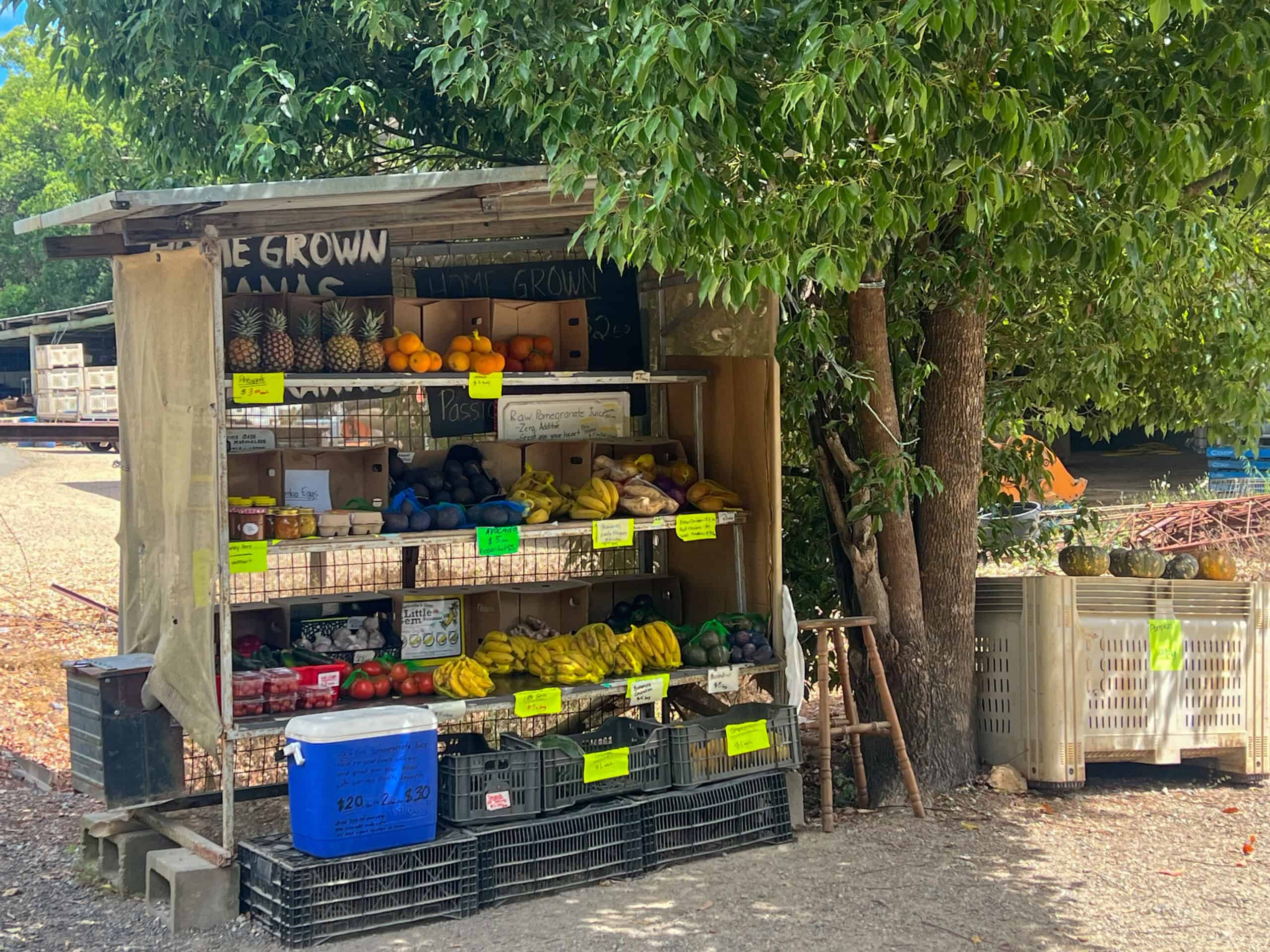 Fruit and veg for sale along the rail trail in the Tweed