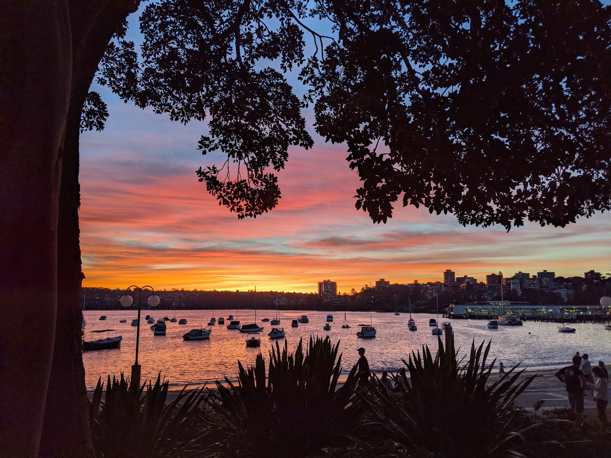A colourful sunset over the harbour in Manly