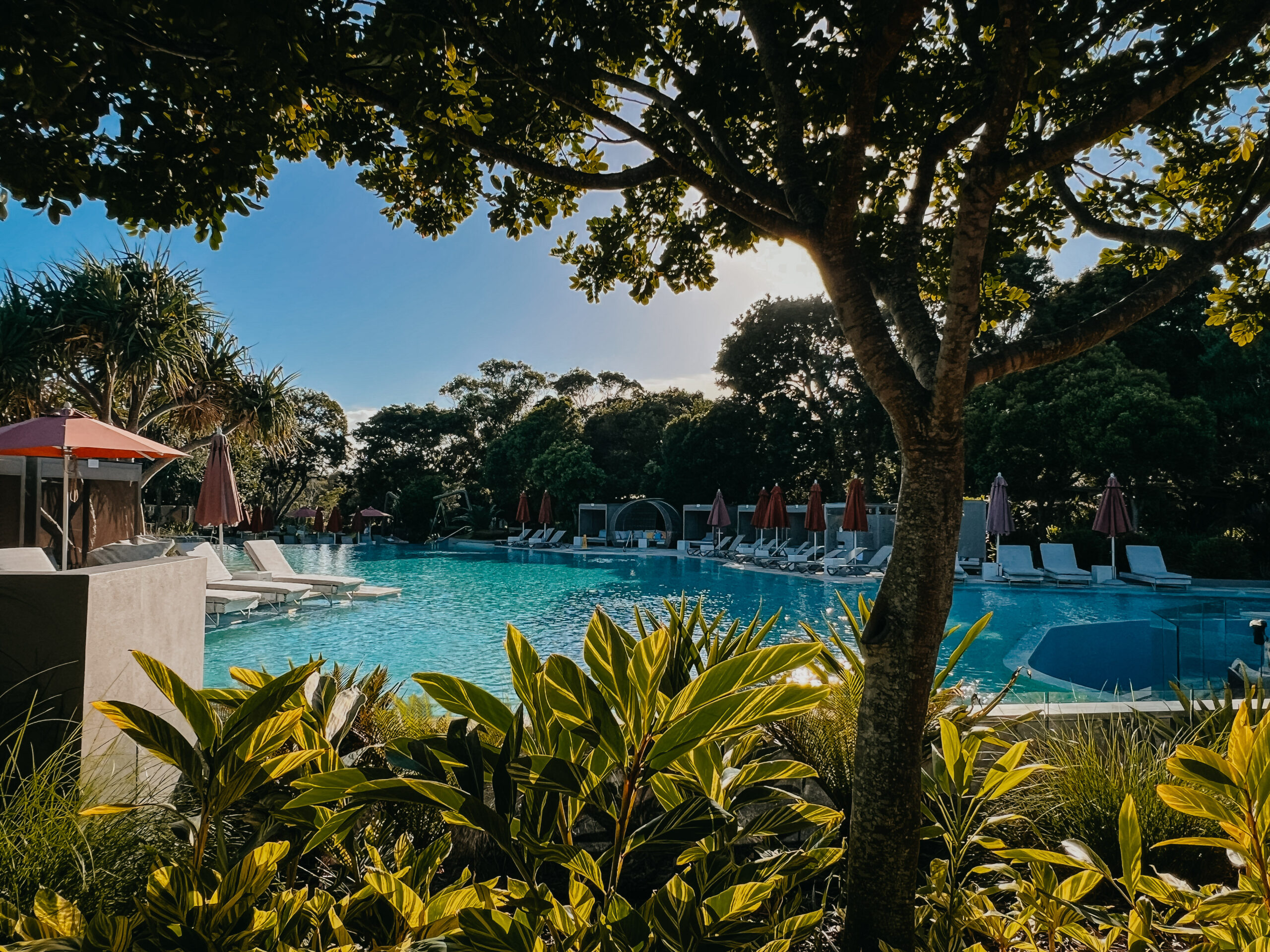 Elements of Byron lagoon pool surrounded by trees